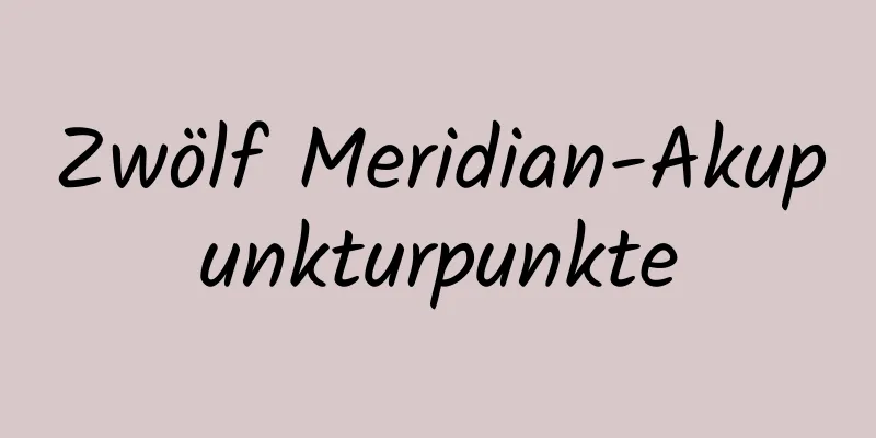 Zwölf Meridian-Akupunkturpunkte