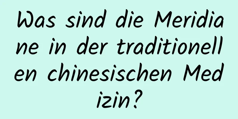 Was sind die Meridiane in der traditionellen chinesischen Medizin?