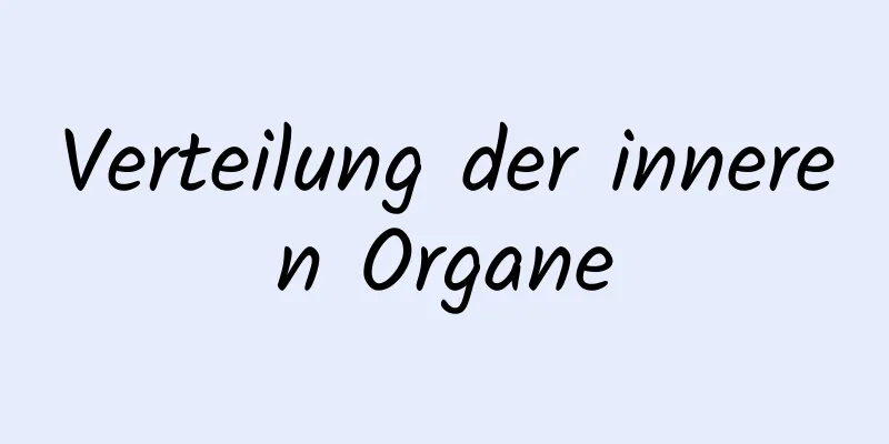Verteilung der inneren Organe