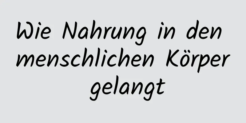 Wie Nahrung in den menschlichen Körper gelangt