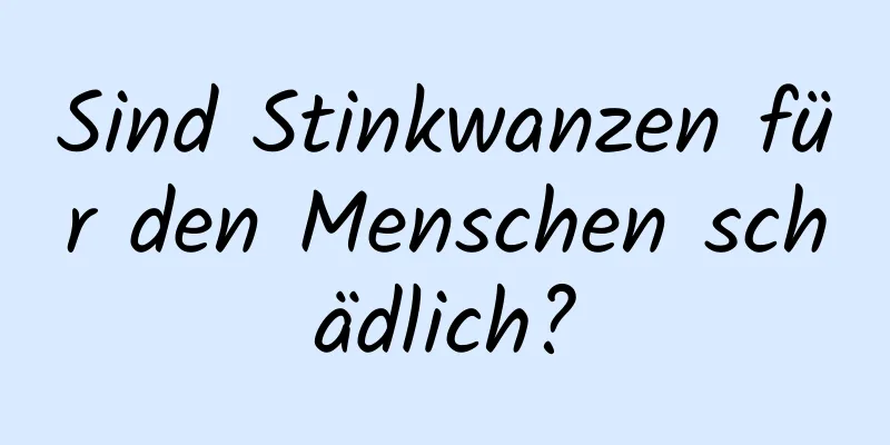 Sind Stinkwanzen für den Menschen schädlich?