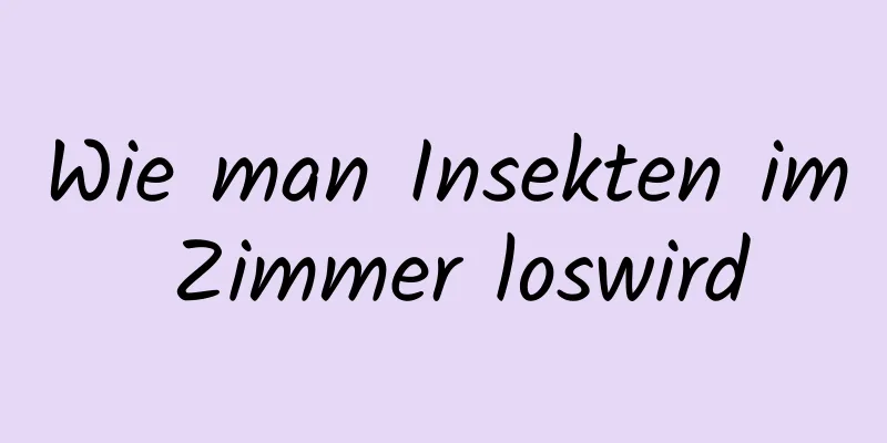 Wie man Insekten im Zimmer loswird