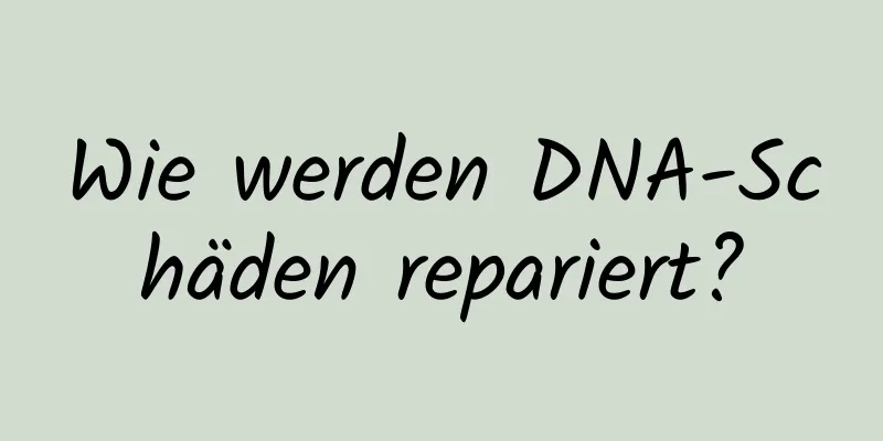 Wie werden DNA-Schäden repariert?