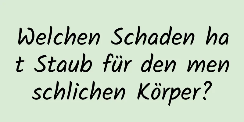 Welchen Schaden hat Staub für den menschlichen Körper?