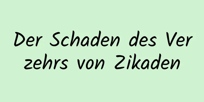 Der Schaden des Verzehrs von Zikaden