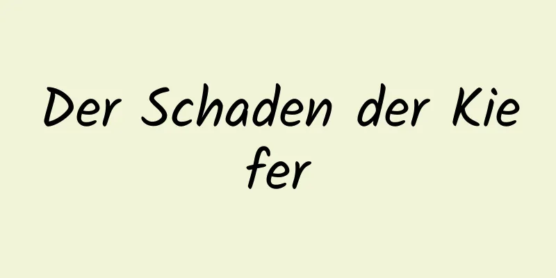 Der Schaden der Kiefer