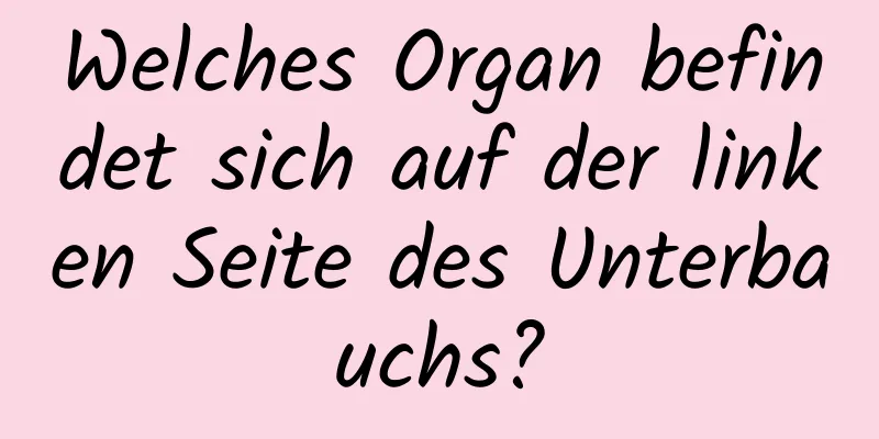 Welches Organ befindet sich auf der linken Seite des Unterbauchs?