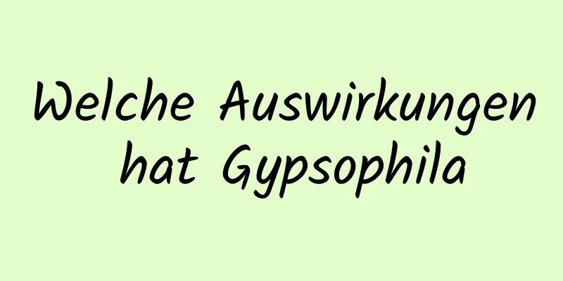 Welche Auswirkungen hat Gypsophila