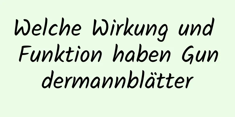 Welche Wirkung und Funktion haben Gundermannblätter