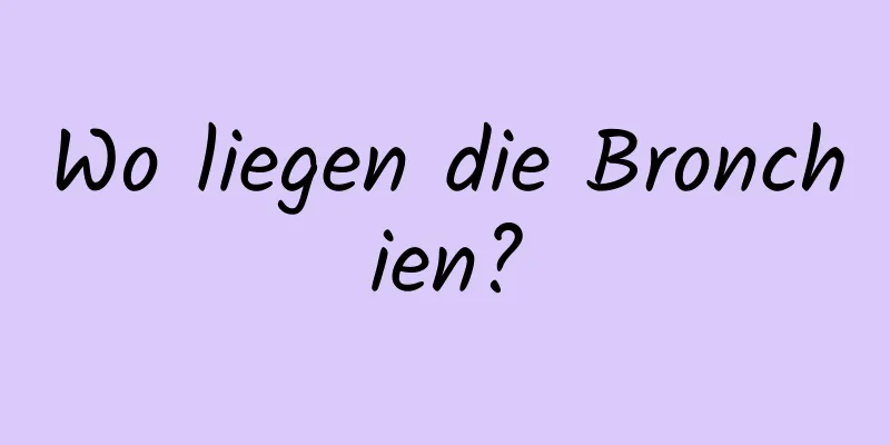 Wo liegen die Bronchien?