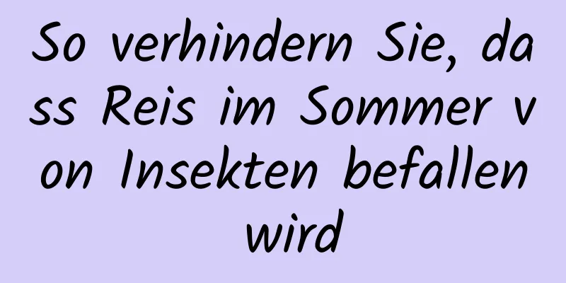 So verhindern Sie, dass Reis im Sommer von Insekten befallen wird