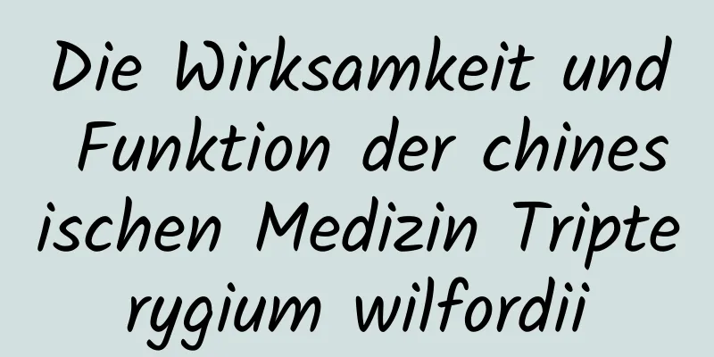 Die Wirksamkeit und Funktion der chinesischen Medizin Tripterygium wilfordii
