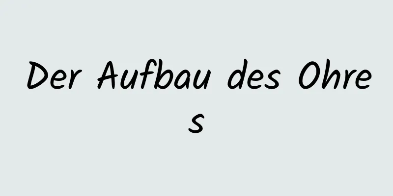 Der Aufbau des Ohres