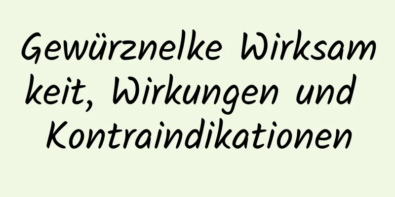 Gewürznelke Wirksamkeit, Wirkungen und Kontraindikationen