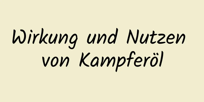 Wirkung und Nutzen von Kampferöl