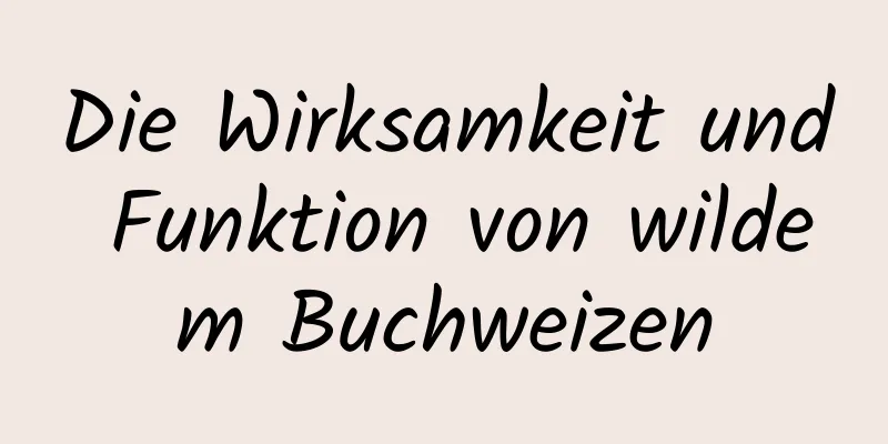 Die Wirksamkeit und Funktion von wildem Buchweizen
