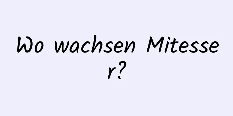 Wo wachsen Mitesser?