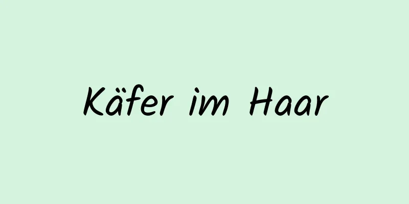 Käfer im Haar