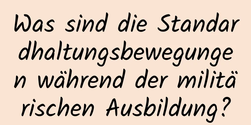 Was sind die Standardhaltungsbewegungen während der militärischen Ausbildung?