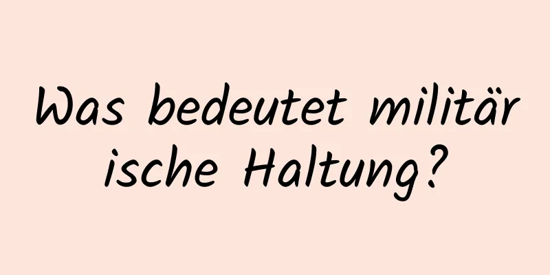Was bedeutet militärische Haltung?