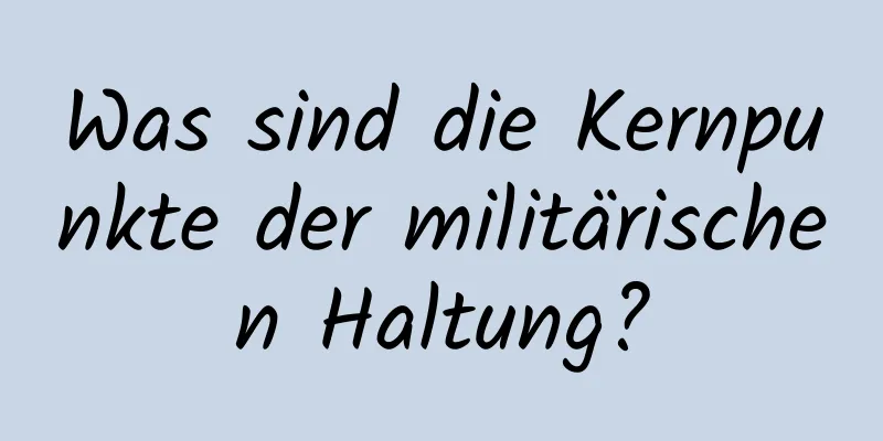 Was sind die Kernpunkte der militärischen Haltung?