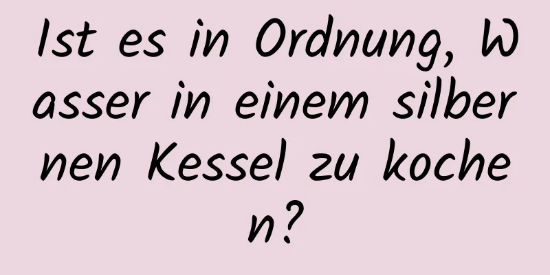 Ist es in Ordnung, Wasser in einem silbernen Kessel zu kochen?