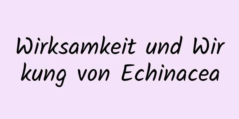 Wirksamkeit und Wirkung von Echinacea