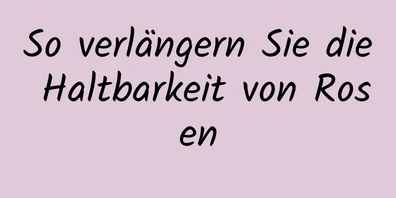 So verlängern Sie die Haltbarkeit von Rosen