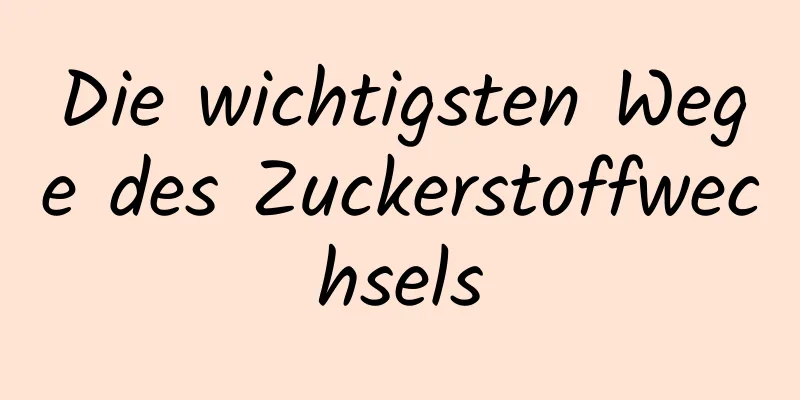 Die wichtigsten Wege des Zuckerstoffwechsels