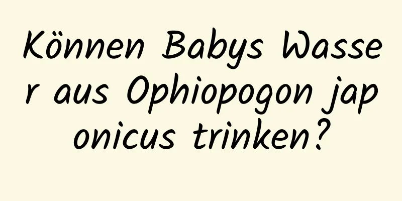 Können Babys Wasser aus Ophiopogon japonicus trinken?