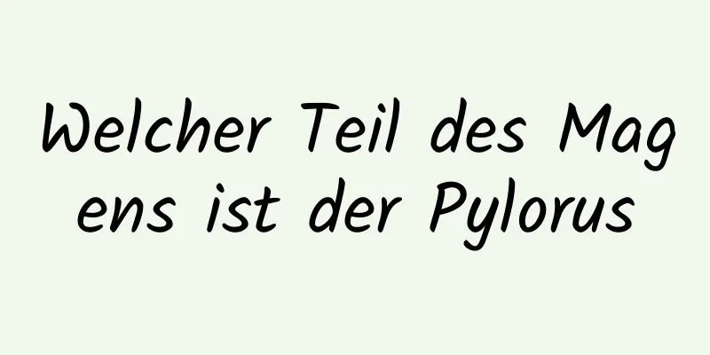 Welcher Teil des Magens ist der Pylorus