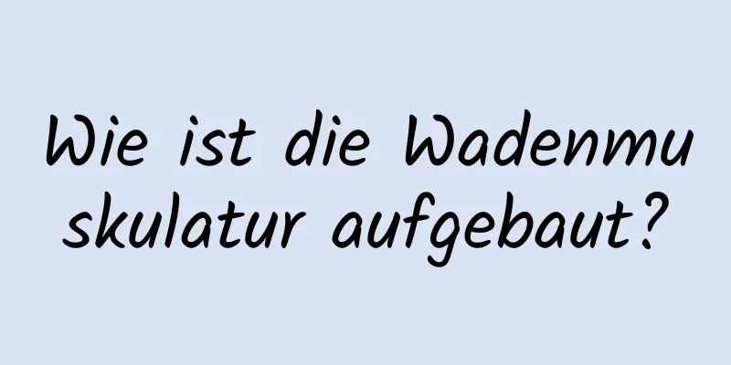 Wie ist die Wadenmuskulatur aufgebaut?