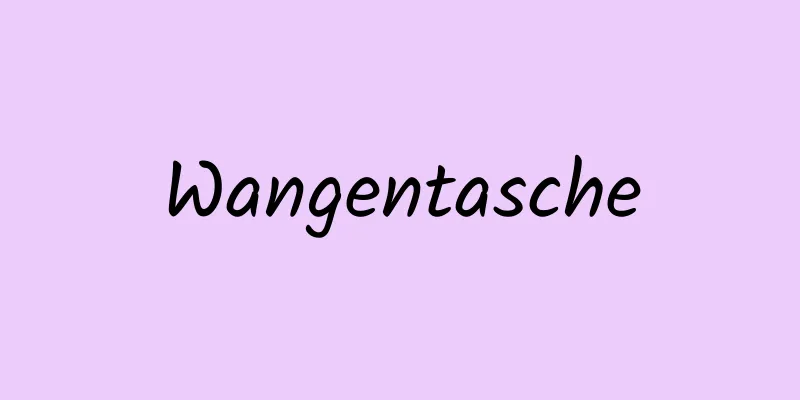 Wangentasche