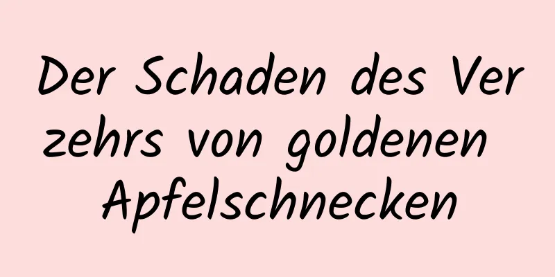 Der Schaden des Verzehrs von goldenen Apfelschnecken