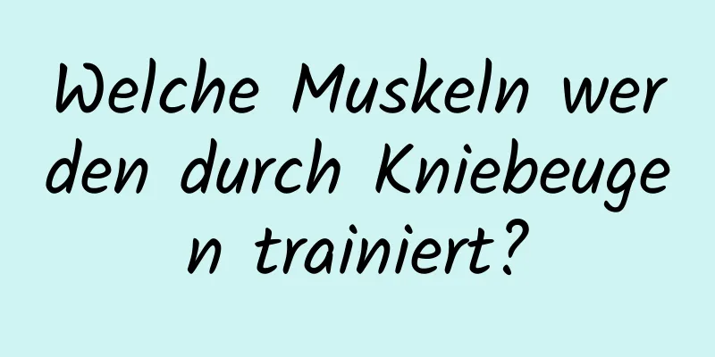 Welche Muskeln werden durch Kniebeugen trainiert?