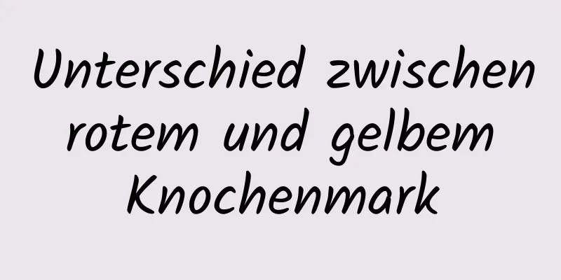 Unterschied zwischen rotem und gelbem Knochenmark