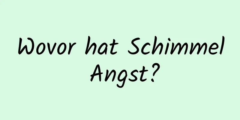 Wovor hat Schimmel Angst?
