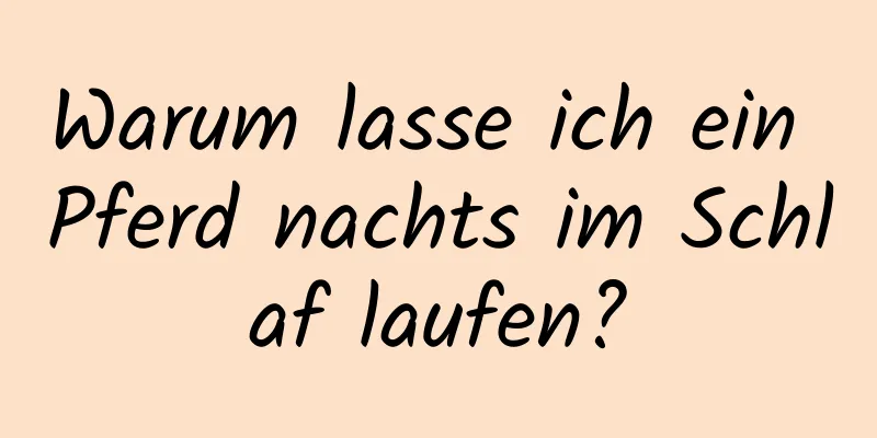 Warum lasse ich ein Pferd nachts im Schlaf laufen?
