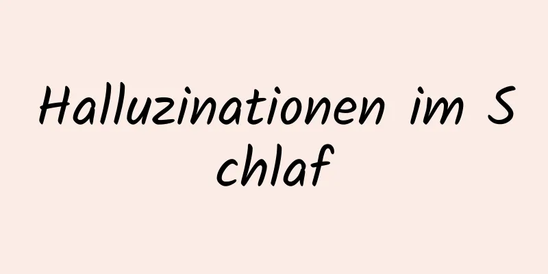 Halluzinationen im Schlaf