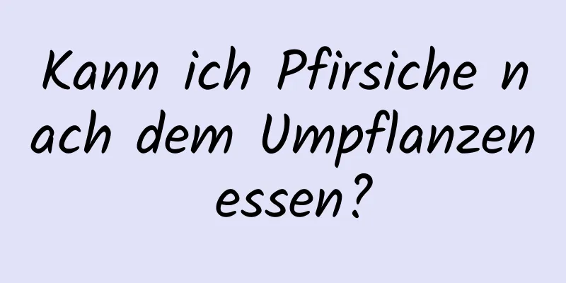 Kann ich Pfirsiche nach dem Umpflanzen essen?