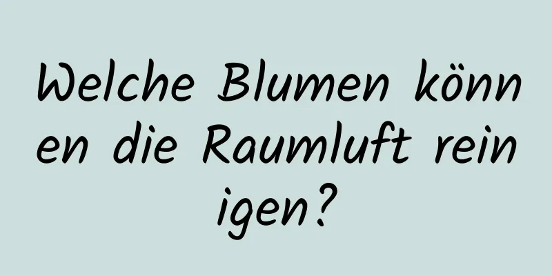 Welche Blumen können die Raumluft reinigen?