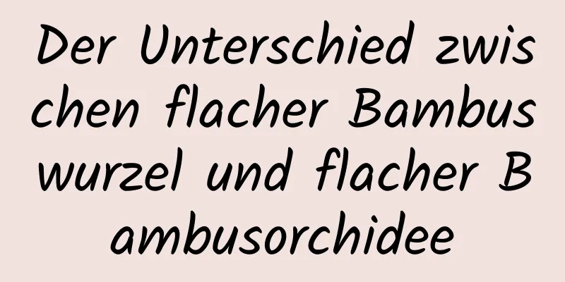 Der Unterschied zwischen flacher Bambuswurzel und flacher Bambusorchidee