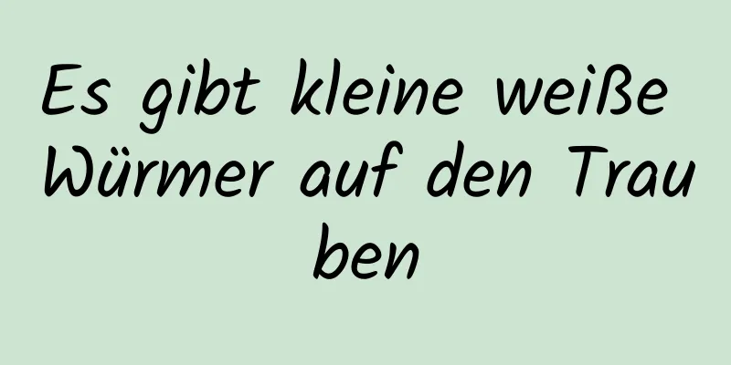 Es gibt kleine weiße Würmer auf den Trauben
