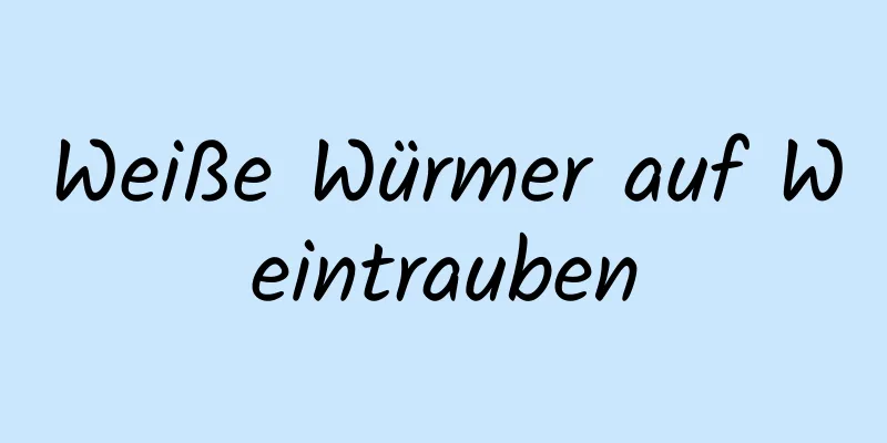 Weiße Würmer auf Weintrauben