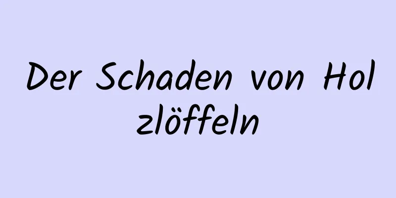 Der Schaden von Holzlöffeln