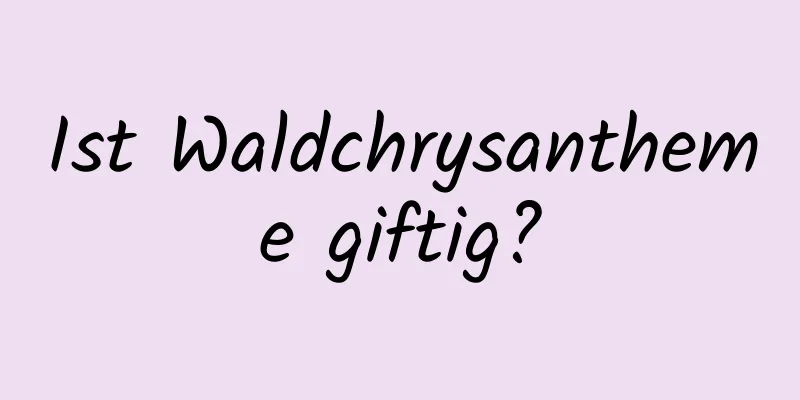 Ist Waldchrysantheme giftig?