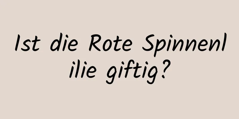 Ist die Rote Spinnenlilie giftig?