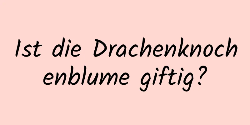 Ist die Drachenknochenblume giftig?