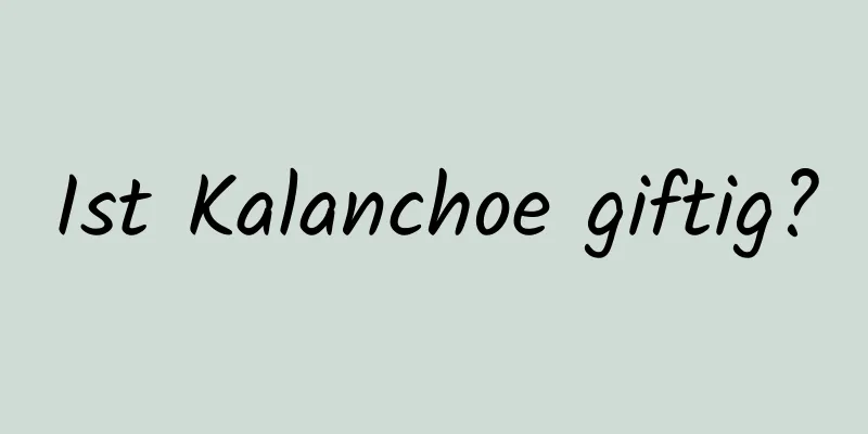 Ist Kalanchoe giftig?
