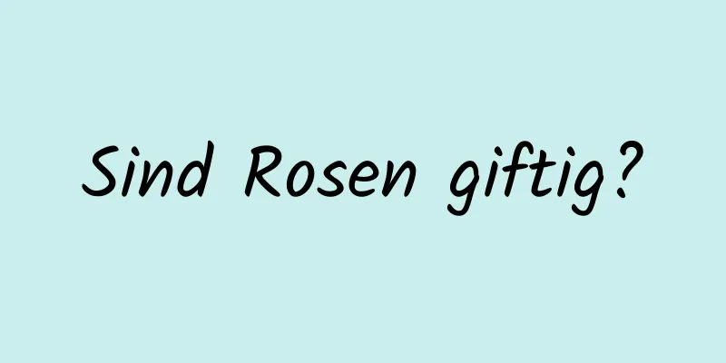 Sind Rosen giftig?